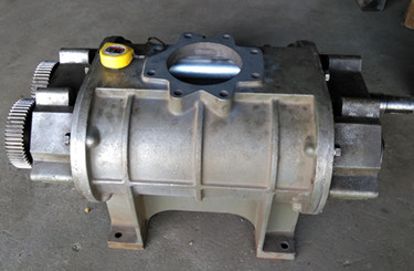 �_�Ĺ��L�C��ʲô��